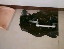 西陵卫生间测漏水多少钱